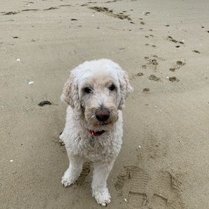 Meet your Posher, Lynn